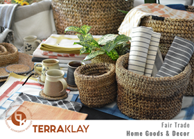 TerraKlay logo